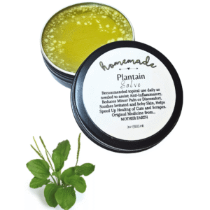 2oz jar of Homegrown Plantain Salve by Know; Body Botanicals